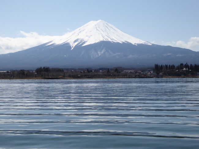 春の優雅な伊豆と河口湖　愛犬一緒の旅♪　Vol12（第3日目午前）　☆河口湖：遊覧船から春の富士山を眺めて♪