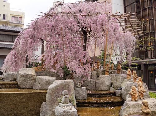 豪華で新しい 御幸桜が咲く【六角堂】へお地蔵さん＆十六羅漢さんを見に 工芸品