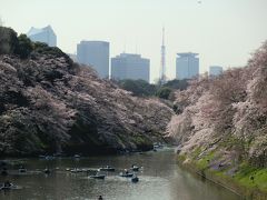 2016年3月　満開直前の桜　九段下（千鳥ヶ淵、靖国神社）