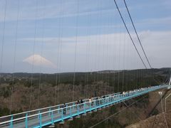 三島で空中散歩と思いがけずお花見