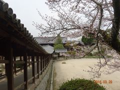 御祭神は「ももたろう」のモデル・長い廻廊・鳴釜神事の吉備津神社〈5〉　2泊3日岡山の旅