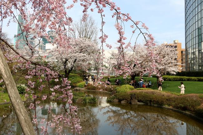 昨日の好天で都心の桜は一気に見頃を迎えはじめた・・・<br />今日も好天で、気温は20度を超えるという・・・<br />絶好のお花見日和・・・<br />早速、午後から六本木界隈の桜を楽しんできました・・・<br /><br />今年最初の桜散歩のコースは、<br />日比谷線六本木駅〜六本木ヒルズ〜毛利庭園〜六本木さくら坂〜東京ミッドタウン〜赤坂サカス〜アークヒルズ〜桜坂〜スペイン坂〜南北線六本木一丁目駅。<br /><br />写真のコメントはありませんが、取り急ぎ都心の桜の状況をお伝えします・・・<br />ご参考ください・・・