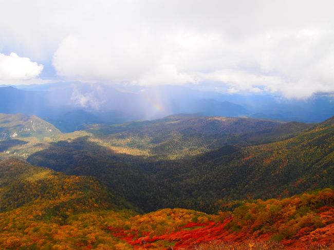 いち早く紅葉が見たくて大雪山をのぼることに決めました。<br />初めての一人北海道でしたが、<br />とても綺麗な紅葉で充実した旅でした。<br />もう少し時期をずらしたらもっと綺麗な紅葉だったかもしれません。