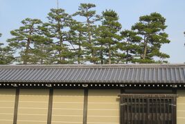 2016春、京都の桜(9/13)：京都御所と御苑(4)：大島桜、御所の築地塀、開花前の車返桜