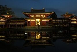 2016春、京都の桜(12/13)：宇治平等院(1)：宇治平等院へ、ライトアップされた鳳凰堂