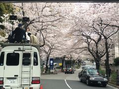 午後から都バスで港区花見迷走ツアー