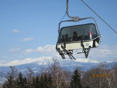 富良野スキー場で春スキーと旭山動物園