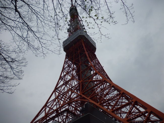 春休みを利用して小学四年生の孫と二年ぶりの東京旅行をしました。<br />初日は福岡空港でJALの重量システムの障害があり遅れての出発でしたが順調に飛行し<br />曇り空の羽田空港に到着しました。<br />荷物を置いて早速、孫が一番行きたいスポットの「東京タワー」目指しました。<br />東京はこの日が満開宣言で東京タワー周辺も綺麗に桜が咲き誇っていました。<br />生憎のお天気で展望室からの景色も十分ではありませんでしたが一つ目の目的は果たせました。<br />孫は自分のお土産に東京タワーのプラスチック組み立てを購入していました。<br />初日を無事終了しました。