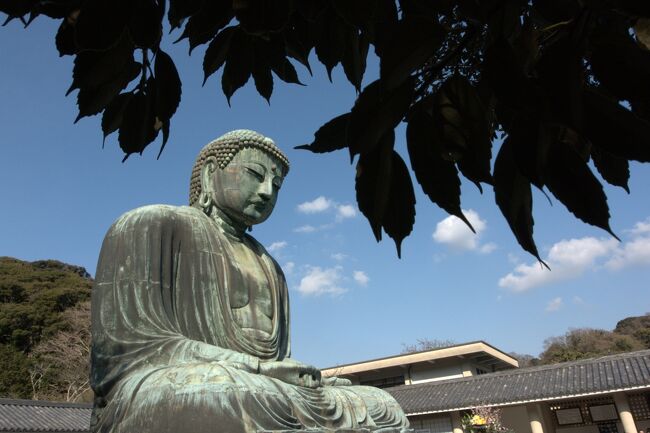 江の島〜鎌倉〜中華街〜みなとみらい〜上野〜新宿。<br /><br />街歩き、観光、名所、史跡、大仏、寺院、食べ歩き、科学、花見、公園、お笑い。<br /><br />２０１６年、東京都心での桜の開花宣言は３月２１日に発表された。<br /><br />旅行期間中に桜が満開となることを見込んで、お花見メインの【桜巡りin東京】の旅行を計画してみましたが、、、<br /><br />しかし、その後は花冷えが続きまだ１〜２分咲きとの事のようでして^_^;<br />大幅に行先を変更しての神奈川・東京旅行、２泊３日。