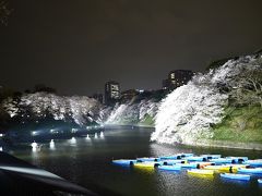 満開の夜桜を見に行く＠千鳥ヶ淵