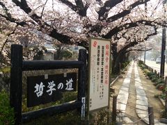 初春の京都 花見旅 2016　②　哲学の道篇