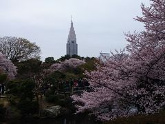 東京の桜2016
