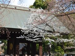 2016 桜旅  はとバスに乗る  千鳥ヶ淵  靖国神社  2日目〈2〉