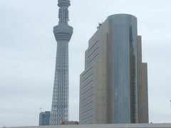 浅草→浜離宮　お花見水上クルーズ