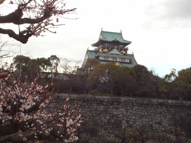 大阪でイベントがあり、時期は梅の時期と知りでは梅見物でも<br />しゃれ込もうではないですかといそいそと出かけてまいりました。<br /><br />関西で梅はどこか探した結果<br />大阪城に梅苑があると知りましてな。<br /><br />今回行ったのは<br /><br />大阪城梅苑<br />生国魂神社<br /><br />イベントの合間に行ったのであまり沢山は回れておりませんが<br />どうぞごゆるりとご覧いただけたらと思います。<br /><br />ではではではでは<br /><br /><br /><br /><br /><br />