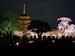 京都の桜 2016