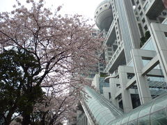 春休みの孫と二年ぶりの東京観光～３日目№１・・・国際展示場駅→台場→新橋