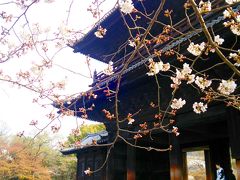 初春の京都 花見旅 2016　③　南禅寺～インクライン篇