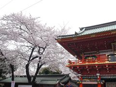 神田明神の桜☆山の上ホテル ヒルトップ☆2016/04/02