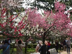春の京都～桜にはまだ早かった～