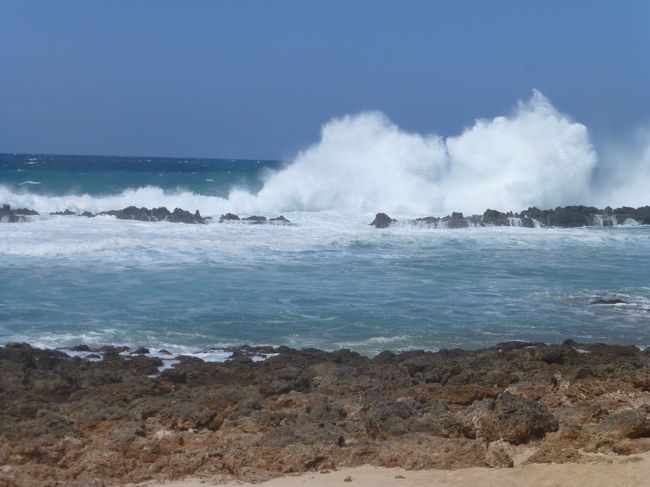 3年前のハワイ旅行に続き今回も歩き中心のオアフ島。<br />ワイキキのショッピングの時間は以前より減り<br />ハワイを歩くことを楽しみました。<br />滞在中の歩数は25万歩を超えました。<br />私たちなりハワイ！<br /><br />オシャレなバケーションには程遠いけど、<br />ザ・バスと自分の足でまわるハワイ。<br />お金を掛けなくったってハワイは楽しめる！<br />そんな旅に興味を持って下されば幸いです。<br /><br />3年前にツアーでノースまで行きました。<br />あの時はノースまでThe Busを使って自分たちで行くなんて<br />ハードルが高いと思っていましたが、<br />他の方の旅行記を読んだり自分たちでアジアをバスで移動したりして<br />私たちでも大丈夫だろうということになりました。<br />ノースまでは本数も少なく待ち時間を考えると効率が悪いかもしれませんが<br />多分、今の私たちだったらそれも楽しめると思う。<br />だからバスで行こう。<br />4日間パスがあるので、フルに使わなくっちゃ！<br />という訳で普段なら歩いてしまう距離もバスを使ったり・・・<br /><br />一番行きたかったところ。<br />3年前にツアーで行ったビーチ。<br />もらった地図をなくしてしまいそこがププケアビーチだということが分かったのは<br />4トラの旅行記を書くためにgoogle mapを何度も見直したから。<br />http://4travel.jp/travelogue/10865085<br />ここだけは絶対に行こうと決めて、それに娘が行きたがっている<br />テッズベーカリーを朝食に。<br />ノースにもトレイルコースがあると知りエフカイトレイルを加えてみました。<br />ちょっとドキドキしながらThe Busで行く初ノースです。<br /><br /><br />