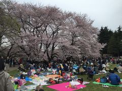 2016年「東京の桜」