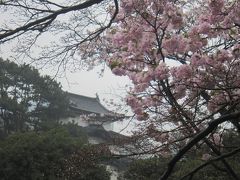 SAKURA 桜 さくら～最終日の皇居乾通り･北の丸公園･靖国神社･千鳥ヶ淵～