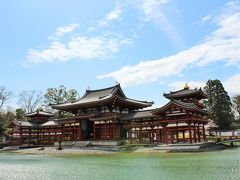 京都/宇治より桜と抹茶便り・・・平等院＆辻利兵衛本店♪