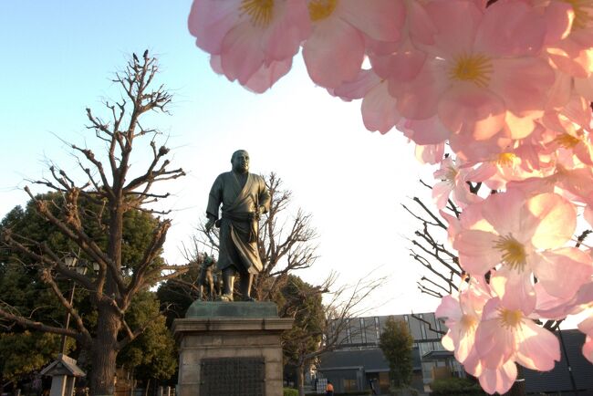 江の島〜鎌倉〜中華街〜みなとみらい〜上野〜新宿。<br /><br />街歩き、観光、名所、史跡、大仏、寺院、食べ歩き、科学、花見、公園、お笑い。<br /><br />２０１６年、東京都心での桜の開花宣言は３月２１日に発表された。<br /><br />旅行期間中に桜が満開となることを見込んで、お花見メインの【桜巡りin東京】の旅行を計画してみましたが、、、<br /><br />しかし、その後は花冷えが続きまだ１〜２分咲きとの事のようでして^_^;<br />大幅に行先を変更しての神奈川・東京旅行、２泊３日。