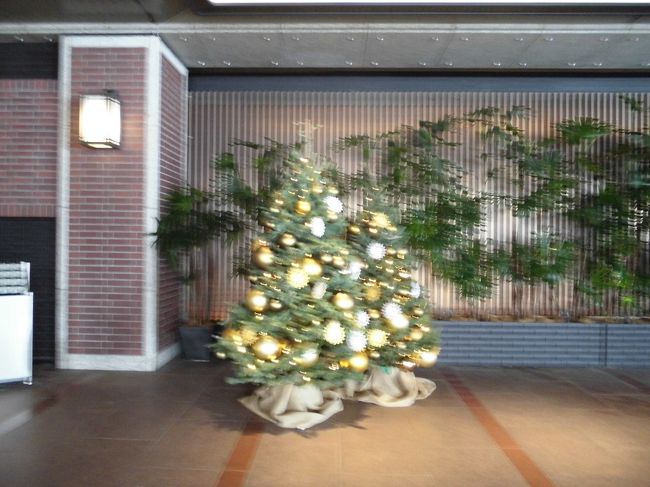 　12月は京都･大阪方面に行くことが多い私と友人です。一つは友人のバースデイ旅行をかねて美味しい物を食べたいという理由から、もう一つはクリスマスシーズンを楽しめるということからです。友人は11月末が誕生日ですが、今回2週間遅れで旅行を計画しました。蟹好きの友人とスイーツ好きの私とどちらも楽しみました。前から行きたかったしょう成園にも行きました。時代劇などでよく見る庭園で駅からそう遠くないので行ってみました。