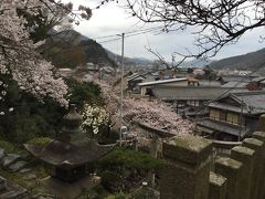 水の清らかな垂井・醒井をてくてく。