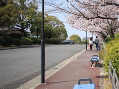 桜sakura旅Part３　愛知学院大学日進キャンパスと日進五色園の桜を愛でる♪