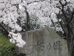 「名古屋」大高緑地・桜の園