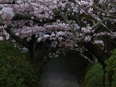 奈良　桜めぐり～醍醐池、長岳寺、幾坂池堤、内山永久寺跡