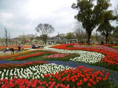 木曽三川公園チューリップまつり