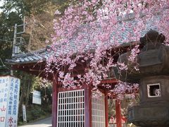 狭山観音霊場巡り【１】歩いて巡る第１番～第７番と狭山不動尊、中氷川神社