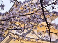 亥鼻公園の桜と城郭風の郷土博物館「千葉城」