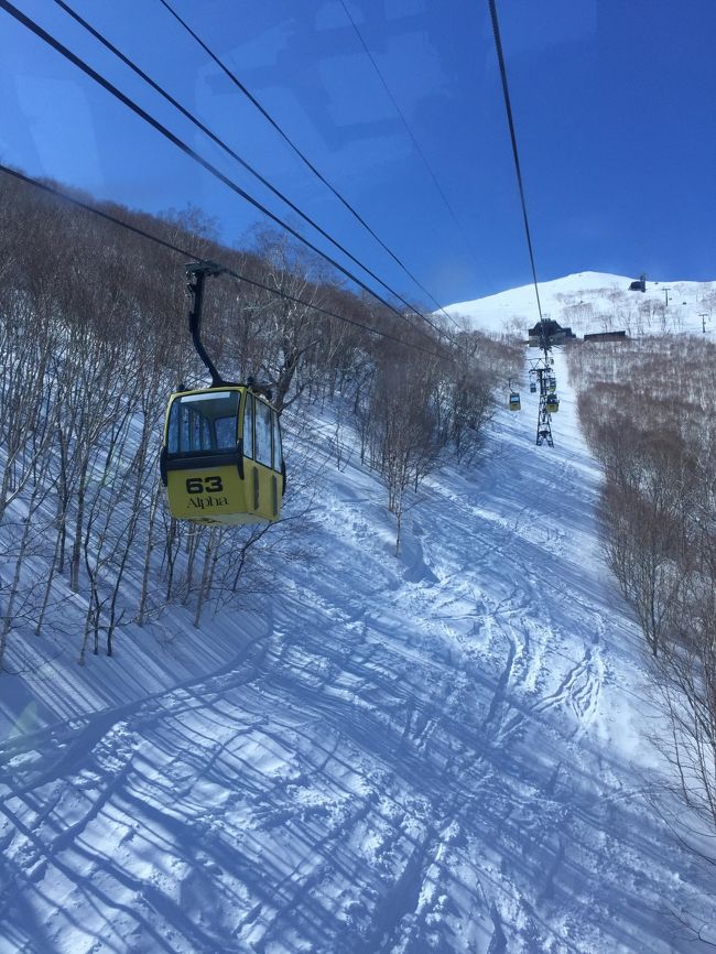 長男の大学合格祝いと卒業旅行を兼ねて3年ぶりの北海道スキーツアーです。<br />今回は、札幌はスルーして直行直帰で行きました（笑）