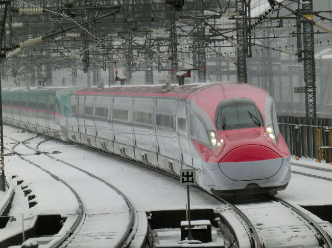 関東地方大雪で公共交通機関が大乱れ。<br />電車がまともに動かない中宮城に出張でした。<br />出張なので観光は全くなしです。