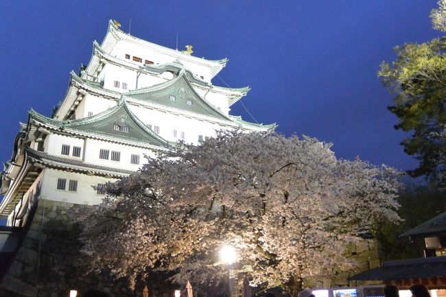 週末、西日本や東海、東京などの桜は満開の模様！<br />せっかくのお休みだしどこかに行きたい！！！<br />と近場で名古屋城へ行ってきました♪<br /><br />夜桜を楽しんで新しくなった「大名古屋ビルヂング」を<br />ブラブラしようと上の姪っ子とお出掛け!(^^)!<br /><br />せっかく名古屋城も入場出来るんだし、と<br />初めて入場したら見所満載(＠_＠;)<br /><br />お花見っていうよりは名古屋城見学を満喫し<br />ちょっとした歴女デビュー？(笑)<br /><br />写真が沢山になってしまいましたが、<br />お付き合いの程、宜しくお願いしま～す（≧∇≦）