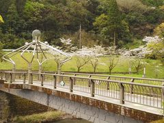 大隅湖の桜を見に行ってきました