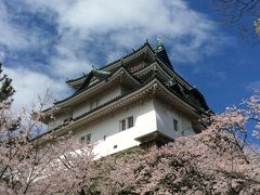 満開の桜2016＠和歌山城と紀三井寺