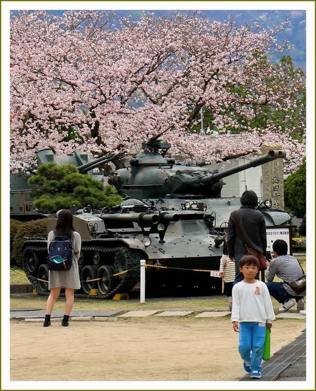 ■瀬野川河川敷畝公園のさくら並木＆海田市陸上自衛隊のさくら並木<br /><br />▽陸上自衛隊海田市駐屯地さくら並木一般公開／広島県安芸郡海田町寿町 <br />・時　　期　４／１（金）～４／３（日）<br />・注意事項<br />　火気の使用：炭火は厳禁です。（ガスコンロのみ可能） <br />　ごみ：ゴミ箱はありません。ごみはお持ち帰りください。 <br />　駐車場：駐屯地内に準備しています。 <br /><br />▽海田町瀬野川河川敷畝公園／広島県安芸郡海田町畝<br />　海田町のお花見スポットといえば、自衛隊と瀬野川河川敷。畝公園も、毎年たくさんの方がお花見を楽しんでいます。<br /><br />【　手記　】<br />　観桜記です。先月で完全退職。基本は毎日サンデー。ヒマ人＾＾Mecha Godzilla くんのデビュー！スローライフの始まりです。時間の無駄は敵！またまた突然の行動をしてしまいました。<br />　家ゴロばかりでは身体が鈍ってしまうので東広島で所用を済ませたあとついでに瀬野川の河川敷と自衛隊海田市駐屯地へ桜を愛でに行って参りました。<br />　この日もしっかり身体を動かしてきました。自衛隊海田市駐屯地はご近所さんです。<br />