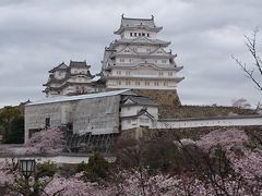 2016姫路でのお花見