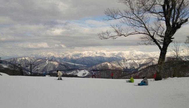 子どもが大きくなるとそれぞれの予定が合わず今シーズン初スキーは春スキーに^_^;<br /><br />でもお天気に恵まれ前日の降雪で3月ながらパウダーを楽しめました。<br /><br />例年に比べ雪不足だそうですが、さすが標高が高いかぐらでは雪不足を感じさせず、<br />まだまだ春スキー、スノボを楽しめそうです。<br />訳あって翌日はとんぼ返り(&gt;_&lt;)<br />その為いつも以上に写真が少ないです。<br /><br />晴天に恵まれた雪山があまりに美しくアップしましたが、スマホ撮影＆撮り方が下手！で<br />イマイチな写真ばかりで美しさをお伝えできなくて残念^_^;<br />
