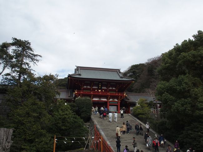 ２０１６年３月２５日、小町通りでシラスを食べた後は、鶴岡八幡宮に向かいます。八幡宮前の歩道、滅茶苦茶狭いです。眼の前を逗子に抜ける道があるので、仕方無いかもしれません。境内では、結婚式をしていました。花婿は外人でした。まだ、最初なので、元気ですね。