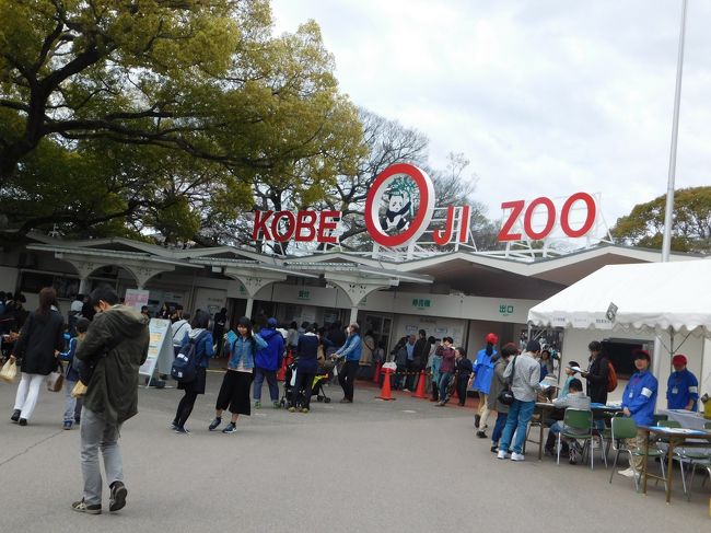 　４月３日雨が降りそうな中、孫の要請に応えるために王子動物園へ行ってきた。