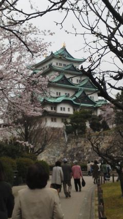 名古屋、奈良、大阪、桜巡り　名古屋城編