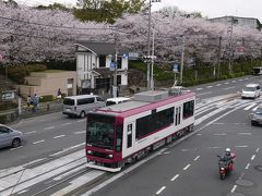 飛鳥山の花見