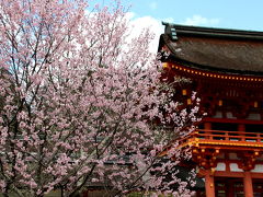 賀茂川から上賀茂神社へ